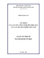 Tác động của lan toả công nghệ đến hiệu quả của các doanh nghiệp Việt Nam