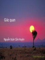 Giác quan   thị giác