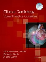 Clinical cardiology, current practice guidelines   demosthenes g  katritsis 