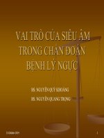 16 vaitrocuasieuamtrongchandoanbenhlynguc bskhoang 20141030 