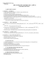 Đề cương ôn tập học kì 1 lớp 11 năm học 2018  2019 môn hóa học   trường THPT hai bà trưng 