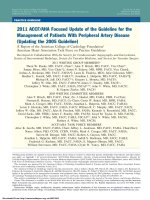 AHA PAD summary 2011 