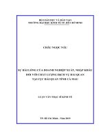 Sự hài lòng của doanh nghiệp xuất, nhập khẩu đối với chất lượng dịch vụ hải quan tại cục hải quan tỉnh cà mau 