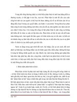 Tiểu luận: Thực trạng phản biện xã hội ở Việt Nam hiện nay.