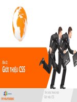 WEB1013   slide2   gi   i thi   u CSS 