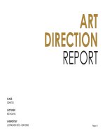 Final report   LUONG ANH DUC 