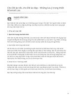 brandsvietnam com cho EM áo tốt cho EM áo đẹp   những lưu ý trong thiết kế email lưu 