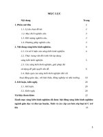 Một số giải pháp nâng cao chất lượng môn toán lớp 6 trường THCS nguyễn hồng lễ 