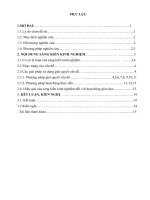 GIÁO dục bảo vệ môi TRƯỜNG CHO học SINH THPT THÔNG QUA HOẠT ĐỘNG NGOẠI KHÓA 