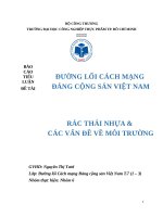 Tài liệu chuyên đề môi trường: Vấn đề rác thải nhựa hiện nay