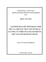 Giải pháp hạn chế tình trạng nghỉ việc của đội ngũ nhân viên kĩ thuật tại công ty TNHH colgate palmolive việt nam chi nhánh mỹ phước 