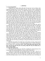 Một số giải pháp nhằm giúp đỡ, giáo dục, cảm hóa học sinh yếu kém về về tư tưởng, nhận thức lớp chủ nhiệm ban cơ bản ở trường THPT 