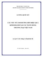 Các yếu tố ảnh hưởng đến hiệu quả kinh doanh tại các ngân hàng thương mại việt nam 