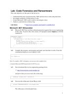 lab08 code forensics 