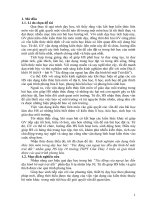 KINH NGHIỆM vận DỤNG KIẾN THỨC LIÊN môn TRONG dạy học bài tác ĐỘNG của NGOẠI lực đến địa HÌNH bề mặt TRÁI đất NHẰM GIÚP HS lớp 10 TRƯỜNG THPT cẩm THỦY 2 HIỂU 