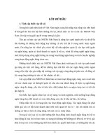 QUẢN LÝ RỦI RO TỶ GIÁ VPBANK – CHI NHÁNH ĐÔNG ANH