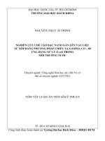 Nghiên cứu chế tạo bạc nano gắn lên vật liệu sứ xốp bằng phương pháp chiếu xạ gamma co 60 ứng dụng xử lý e coli trong môi trường nước tt 