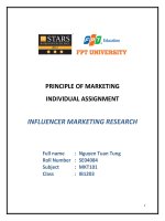 MKT101 IB1203 TungNTSE04804 influencermarketingresearch 