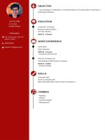 Sendo content intern lầu chí hiếu 