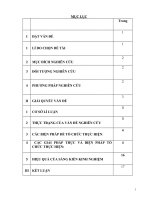 Phân loại và hướng dẫn giải nhanh các dạng toán vận dụng định luật phóng xạ 