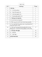 Rèn luyện kỹ năng tính tổng của dãy phân số viết theo quy luật cho học sinh lớp 6 