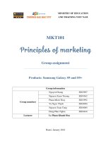 MKT101 IB1203 hoangnse03997 groupassignment 