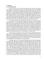 Sử dụng phim tài liệu kết hợp với sơ đồ tư duy vào giảng dạy tác phẩm tuyên ngôn độc lập của hồ chí minh (ngữ văn 12 – tập 