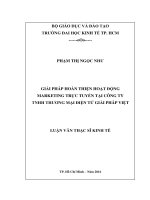Giải pháp hoàn thiện hoạt động marketing trực tuyến tại công ty TNHH thương mại điện tử giải pháp việt 