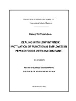 Dealing with low intrinsic motivation of functional employees in pepsico foods vietnam company 
