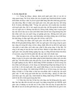 Giáo dục giá trị nghề nghiệp cho sinh viên đại học ngành giáo dục tiểu học qua hoạt động thực hành nghiệp vụ sư phạm doc