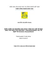Biểu hiện và nghiên cứu hoạt tính ức chế tế bào ung thư máu của enzyme lasparaginase tái tổ hợp từ erwinia chrysanthemi tt 