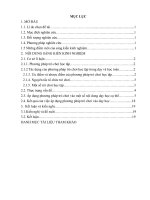 Áp dụng phương pháp trò chơi trong dạy học một số nội dung toán THPT 