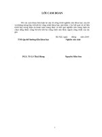 Nghiên cứu ảnh hưởng của một số thông số công nghệ đến quá trình tạo thành sợi cacbon hoạt tính từ sợi viscose thương mại 
