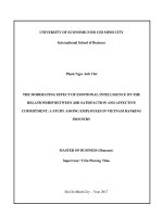The moderating effect of emotional intelligence on the relationship between job satisfaction and affective commitment  a study among employees in vietnam banking industry 