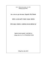 Tiểu luận Thạc sỹ luật chính sách hình sự