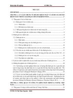 Quy trình đánh giá rủi ro trong giai đoạn chuẩn bị kiểm toán tại công ty TNHH Ernst  Young Việt Nam