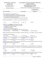 Đề khảo sát vật lí 12 năm 2018 – 2019 sở GD và đt quảng nam 