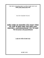 Biểu hiện và nghiên cứu hoạt tính ức chế tế bào ung thư máu của enzyme lasparaginase tái tổ hợp từ erwinia chrysanthemi