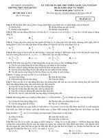 Đề thi thử vật lý THPTQG 2019 trường THPT ngô quyền hải phòng lần 1 