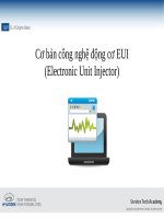 HỆ THỐNG NHIÊN LIỆU BƠM KIM KẾT HỢP (EUI)