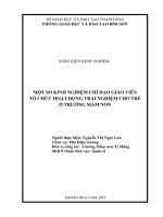 Một số kinh nghiệm chỉ đạo giáo viên tổ chức hoạt động trải nghiệm cho trẻ ở trường mầm non 
