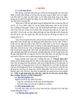 Một số giải pháp giúp học sinh lớp 5 giải tốt các bài toán về chuyển động đều ở trường THTHCS đông khê 