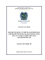 Rủi ro tín dụng và những giải pháp hạn chế rủi ro tín dụng tại ngân hàng TMCP đầu tư và phát triển việt nam chi nhánh phú mỹ 