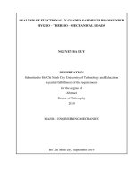 PHÂN TÍCH ỨNG xử dầm SANDWICH CHỨC NĂNG CHỊU tác DỤNG của tải TRỌNG cơ   THỦY   NHIỆT tt tiếng anh 