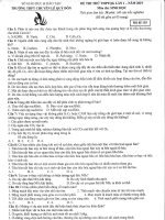 Đề thi thử THPTQG sinh học lần 1 năm 2019 trường chuyên lê quý đôn – quảng trị 