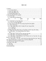 Một số biện pháp nâng cao hiệu quả hoạt động của đội trong trường tiểu học  