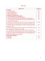 Rèn kĩ năng vẽ tranh cho học sinh thông qua dạy học hợp tác nhóm, theo phương pháp đan mạch trong dạy học mĩ thuật lớp 5  trường tiểu học nga vịnh 