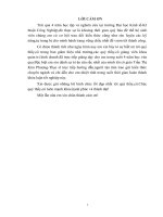 Luận văn tốt nghiệp - Một số giải pháp nhằm hoàn thiện chiến lược Marketing-mix cho công ty Cổ phần đầu tư thương mại quốc tế Mặt Trời Đỏ