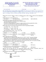 Đề thi thử THPT QG 2019 môn hóa học trường THPT TH cao nguyên – đắk lắk 