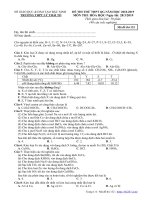 Đề thi thử THPT QG 2019 hóa học lần 2 trường lý thái tổ – bắc ninh 